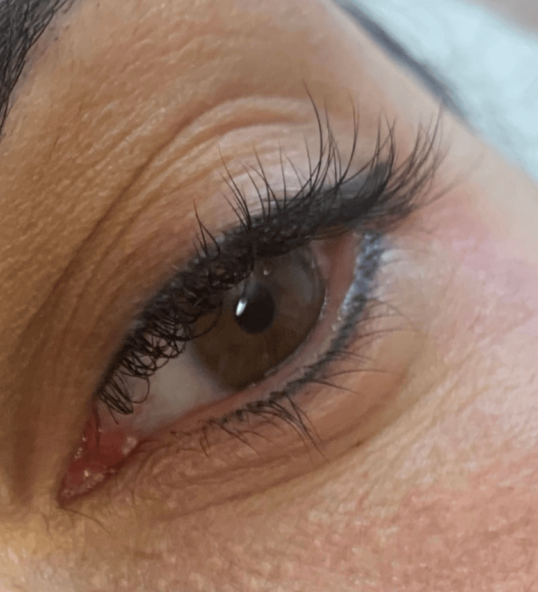 Offenes Auge mit dichter Wimpernkranzverdichtung und feinem Lidstrich